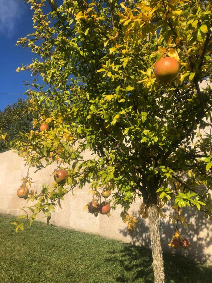 Basto Village House كابيسيراس دى باستو المظهر الخارجي الصورة